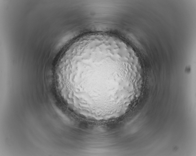 X0000090450683200707272216