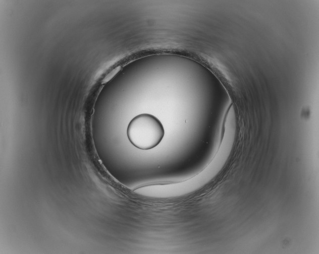 X0000090450684200707272216