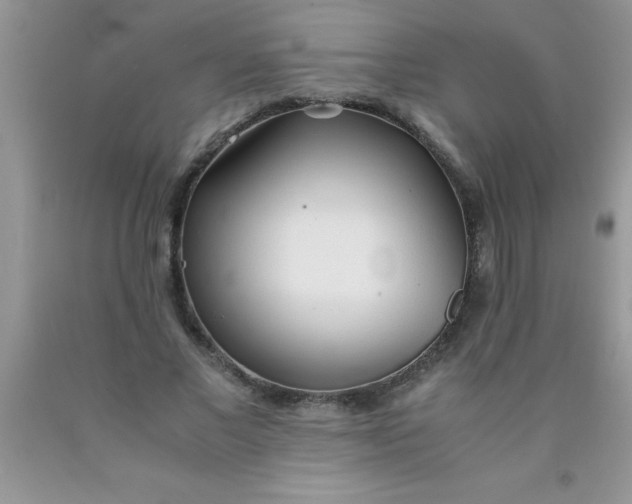 X0000090450685200707272216