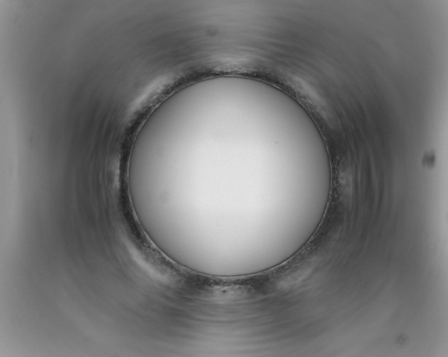 X0000090450686200707272216