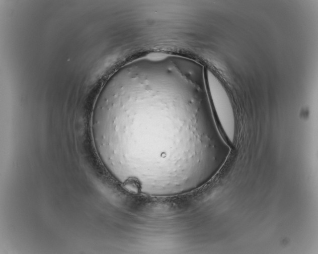 X0000090450687200707272216