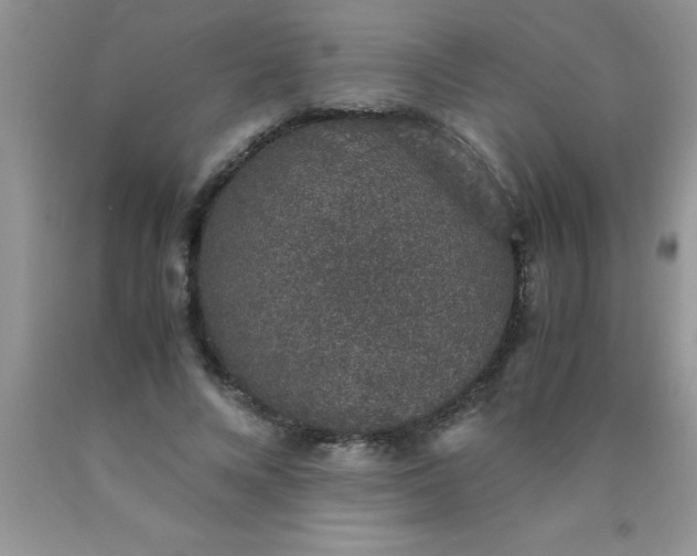 X0000090450688200707272216