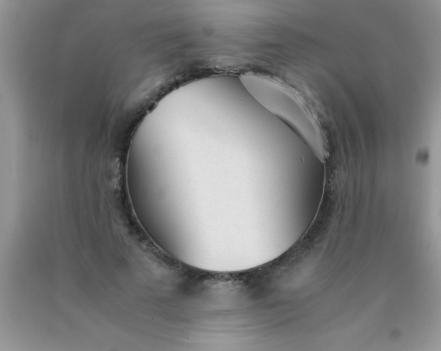 X0000090450689200707272216