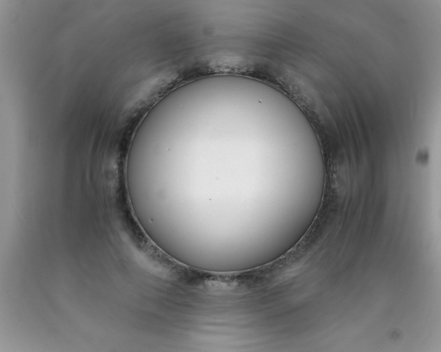 X0000090450690200707272216