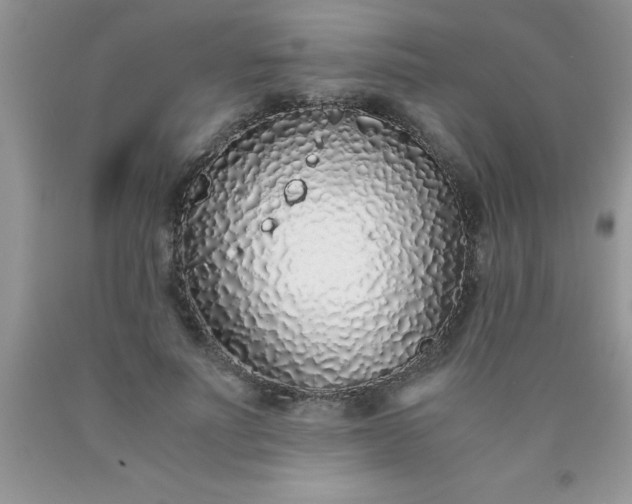 X0000090450691200707272216