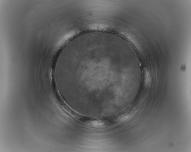 X0000090450692200707272216