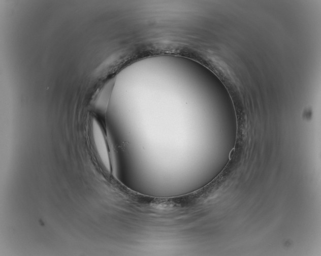 X0000090450693200707272216