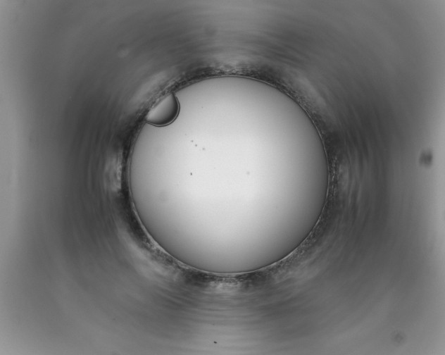 X0000090450694200707272216