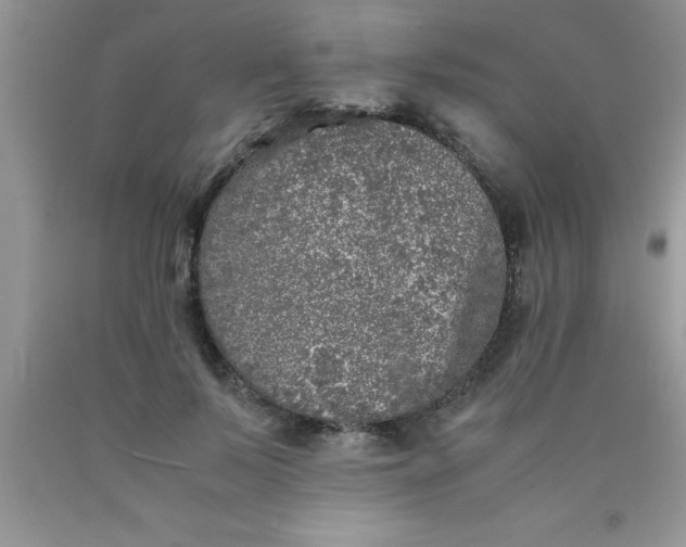 X0000090450695200707272216