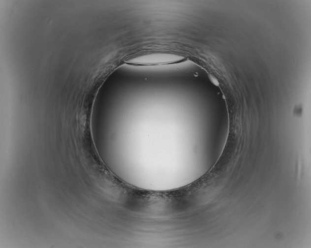 X0000090450697200707272216