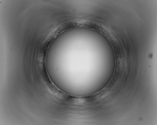 X0000090450698200707272216