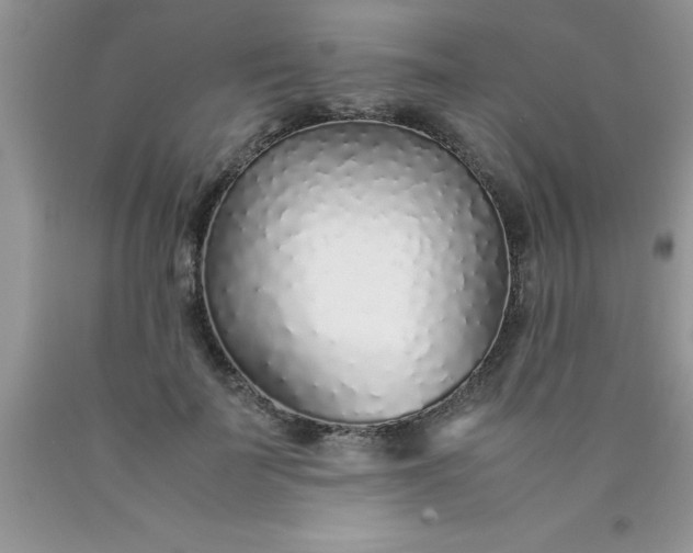 X0000090450699200707272216