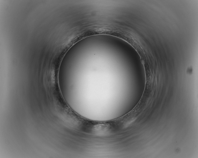 X0000090450700200707272215