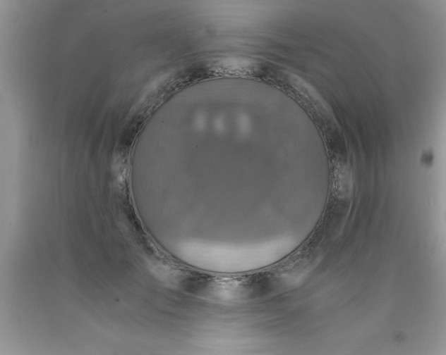 X0000090450701200707272215