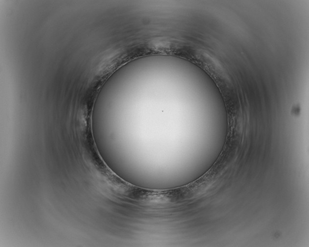 X0000090450702200707272215