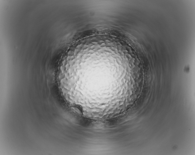 X0000090450703200707272215