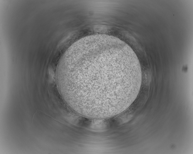 X0000090450705200707272215