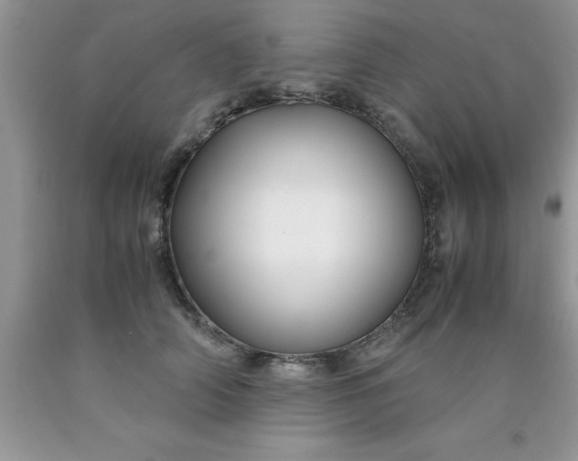 X0000090450706200707272215