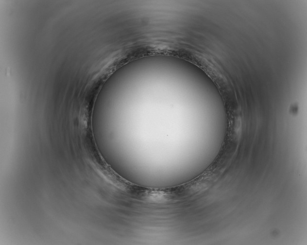 X0000090450710200707272215