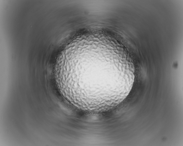 X0000090450711200707272215