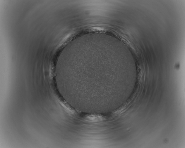 X0000090450712200707272215