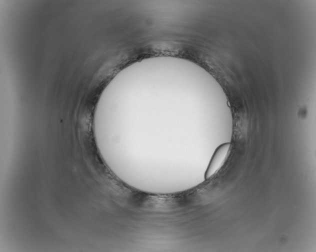 X0000090450713200707272215