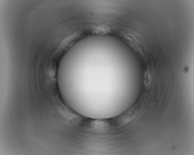 X0000090450714200707272215