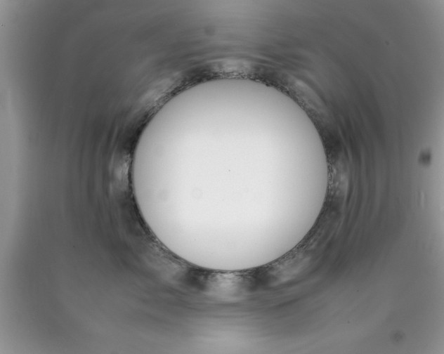 X0000090450717200707272215