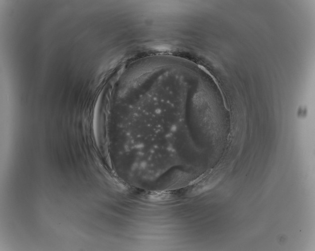 X0000090450720200707272215