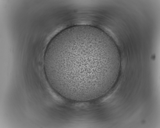 X0000090450721200707272215