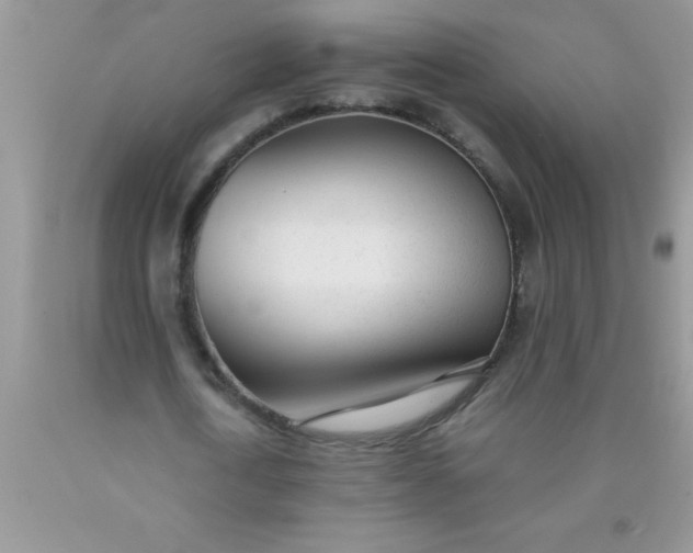 X0000090450722200707272215