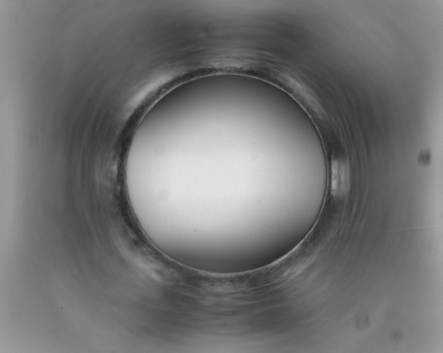 X0000090450723200707272215