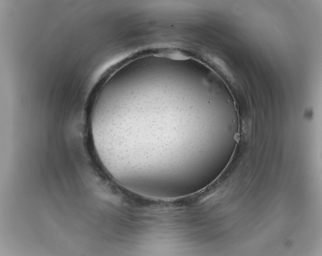 X0000090450724200707272215