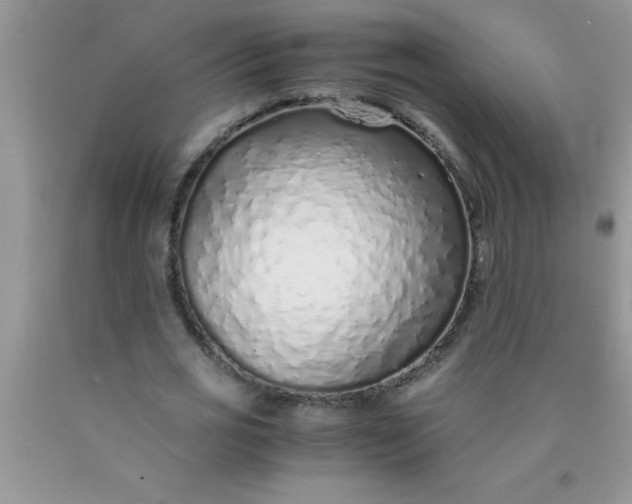 X0000090450725200707272215