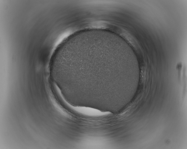 X0000090450726200707272215