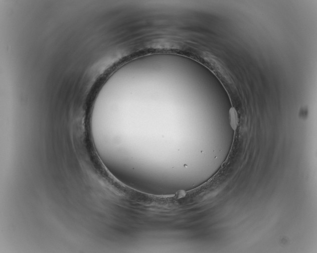 X0000090450727200707272215