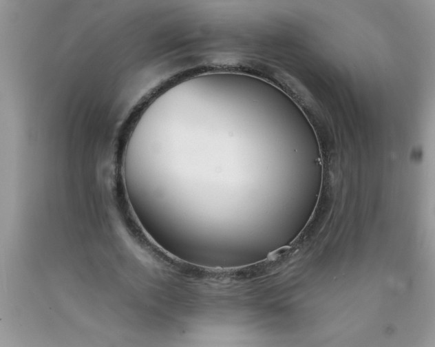 X0000090450728200707272215