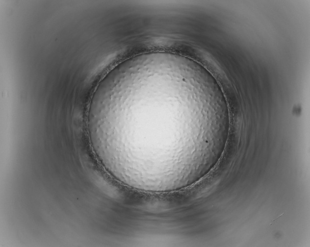 X0000090450729200707272215