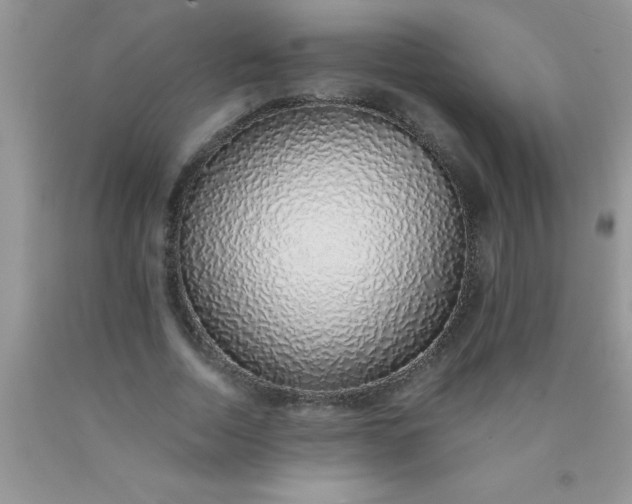 X0000090450730200707272215