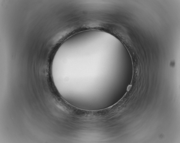 X0000090450732200707272215