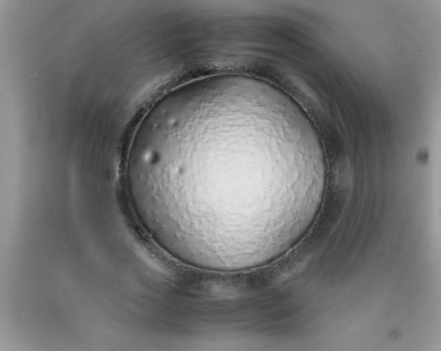 X0000090450733200707272215