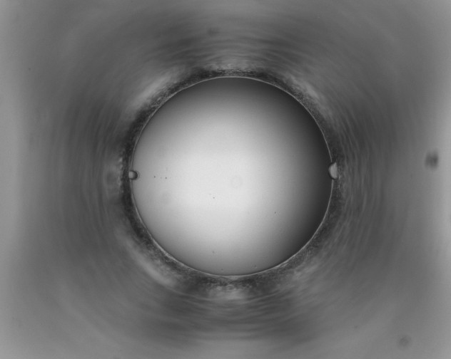 X0000090450735200707272215