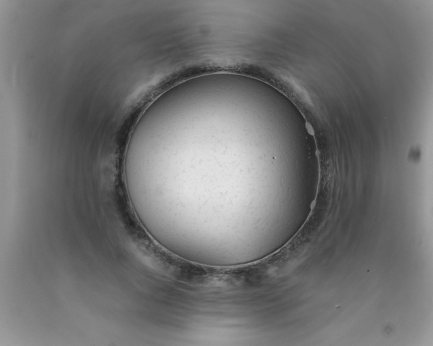 X0000090450736200707272215