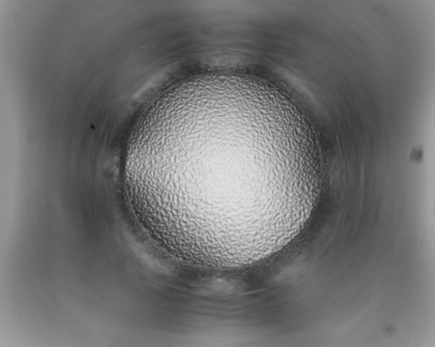 X0000090450737200707272215