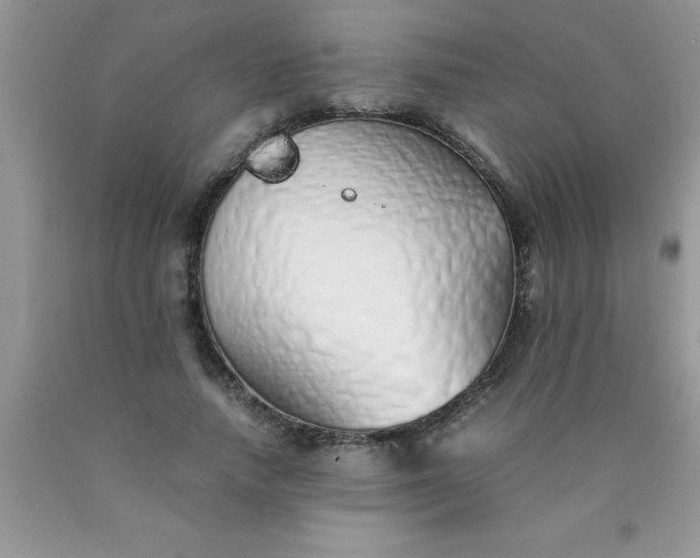 X0000090450738200707272215