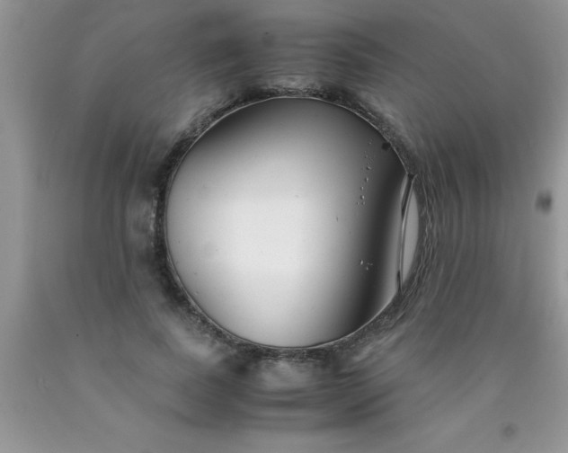 X0000090450739200707272215