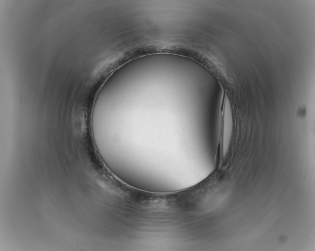 X0000090450740200707272215