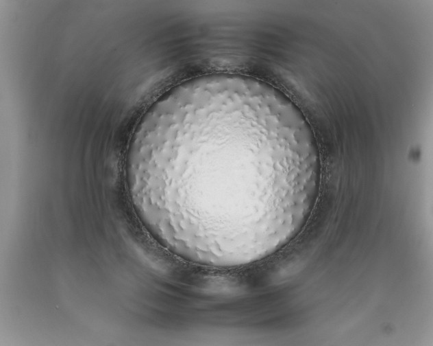 X0000090450741200707272215