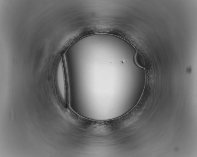 X0000090450742200707272215