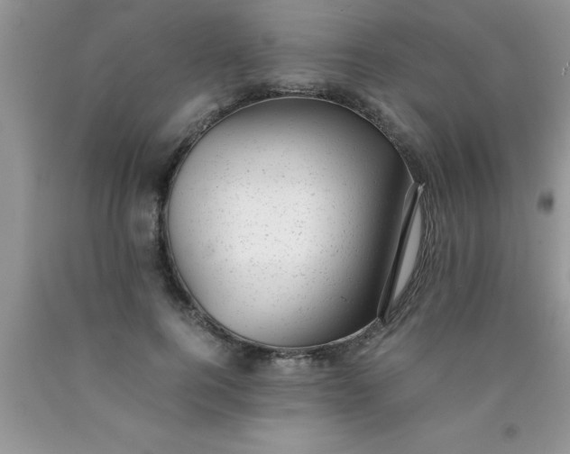 X0000090450744200707272215